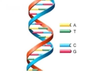 医疗与生命科学