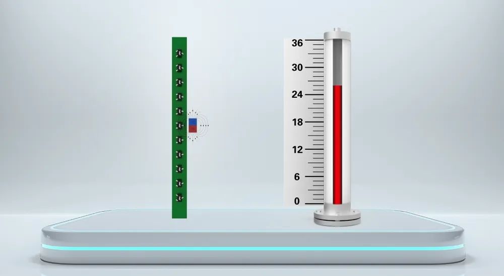 图6 边磁式磁浮子结构